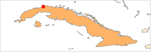 Havana