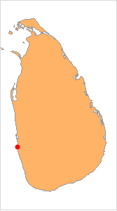 Colombo